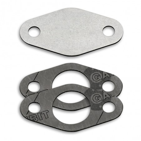 EGR valve blanking plate with gaskets for Renault Mitsubishi Volvo with F8QT engines