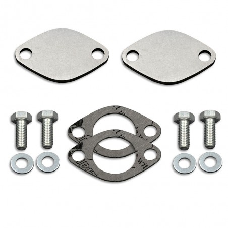 EGR Valve Blanking Block Plate Stainless Steel Gasket Valve Blanking Plates Assembly Replacement for Espace Laguna Master Trafic Movano 2.2 2.5 Dci 