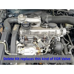 EGR Delete Kit Blanking Plate for VW Audi Seat Skoda with 1.9 engines TDI ASV ALH AHF AJM