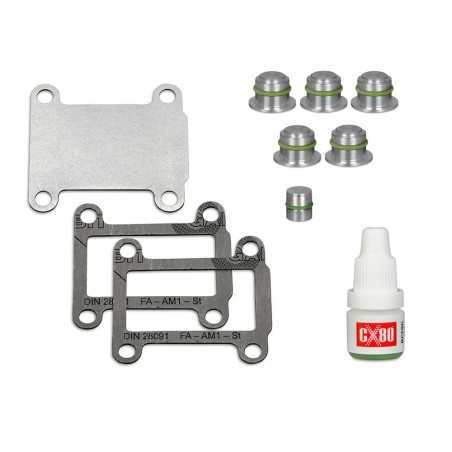 Intake manifold swirl flap removal kit for OPEL VAUXHALL / FIAT / ALFA / SAAB + EGR blanking plate with gaskets