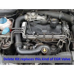 EGR Valve Removal Kit TDI Audi,Vw,Seat