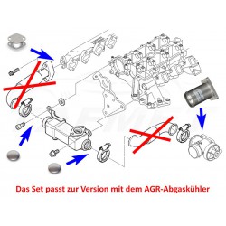AGR Delete Entfernung Set für BMW mit 2.0 2.5 3.0 D Motoren
