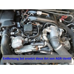 AGR Ventil Delete Entfernung Set Platte für BMW mit 2.0 2.5 3.0 D M47 M57 Motoren
