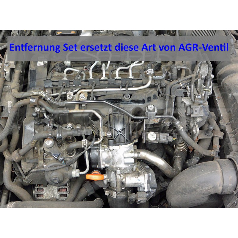 AGR Ventil Entfernung Set für VW Audi Seat Skoda mit 2.0 TDI BKD AZV BXE AXR Motoren